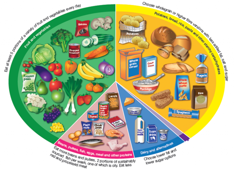 Eatwell Guide plate – Healthy Weight Grampian